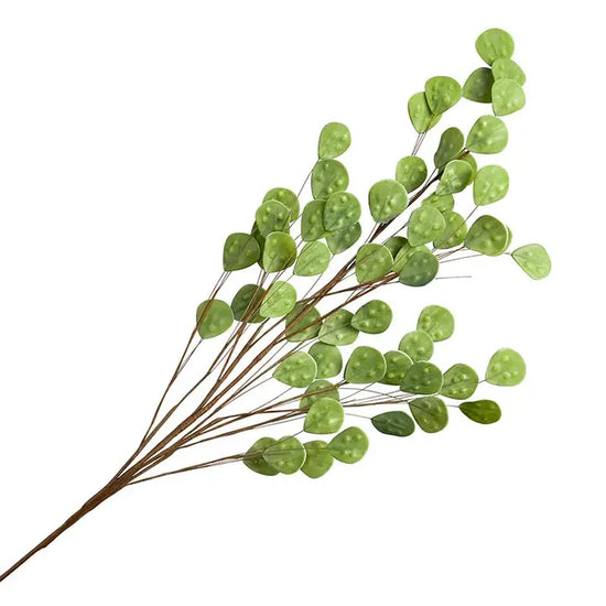 Flower Stem