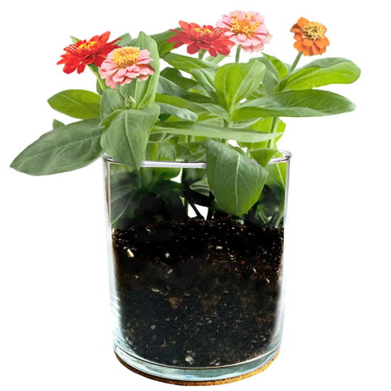 Mom Flower Garden