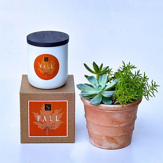 Tuscan Ridge Succulent + Signature Fall Candle Gift Box