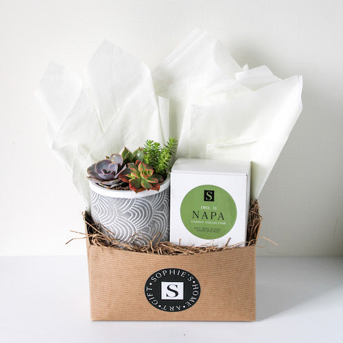 Grey Patterned Succulent + Signature Candle Gift Box