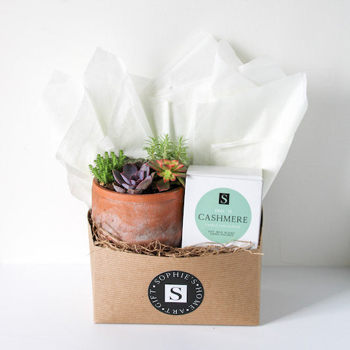 Terra Jar Succulent + Signature Candle Gift Box