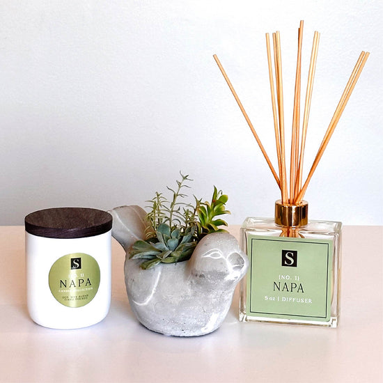 Luxe Napa Candle + Bird Succulent Gift Box