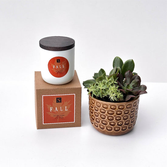 Fall Signature Candle with Brown Circle Succulent
