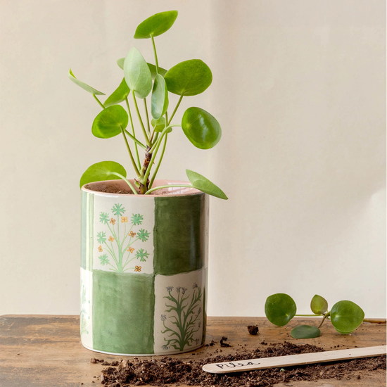Herbs Everything Pot