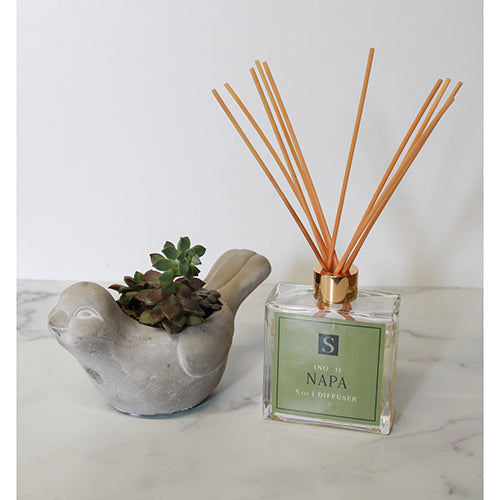 Small Bird Succulent + Napa Diffuser Gift Box
