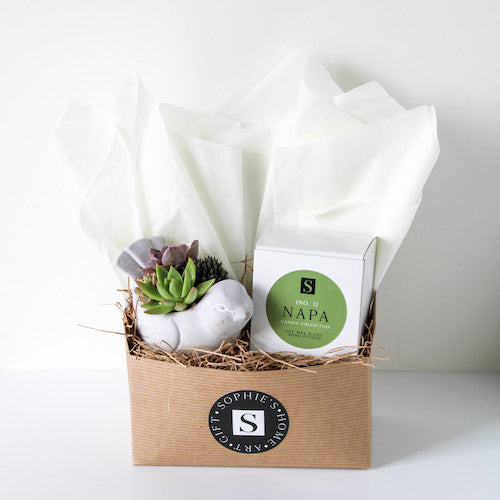 Small Cement Bird Succulent + Signature Candle Gift Box