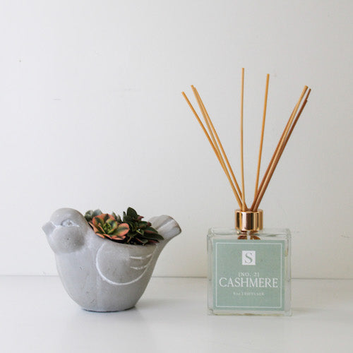 Small Bird Succulent + Cashmere Diffuser Gift Box