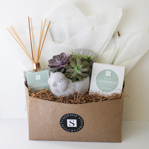 Luxe Cashmere + Bird Succulent Gift Box