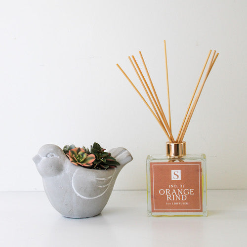 Small Bird Succulent + Orange Rind Diffuser Gift Box