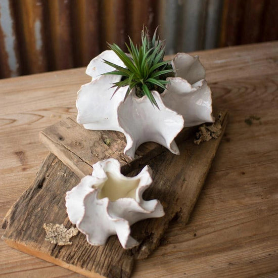 White Organic Ceramic Planter