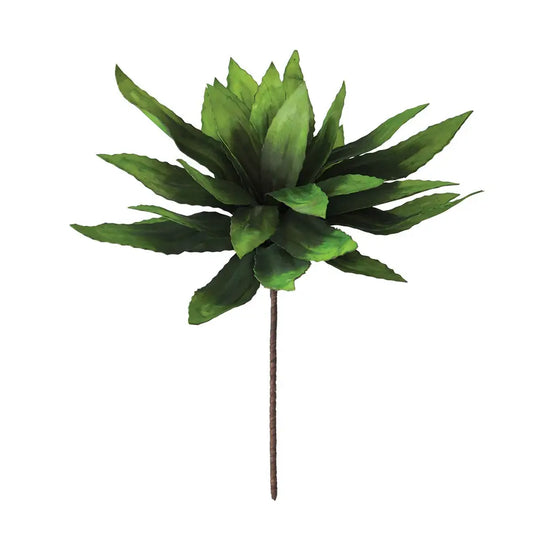Botanica #294