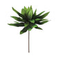 Botanica #294
