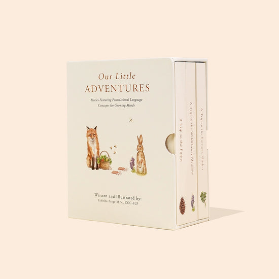 Our Little Adventures Box