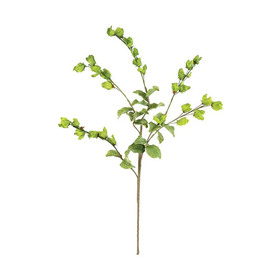 Botanica #3187