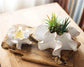 White Organic Ceramic Planter