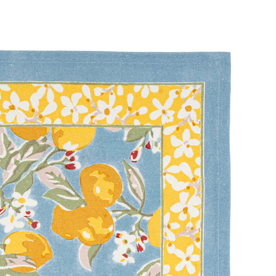 S/6 Citron Blue + Yellow Placemats