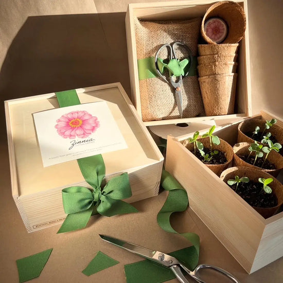 Flower Cutting Garden Box