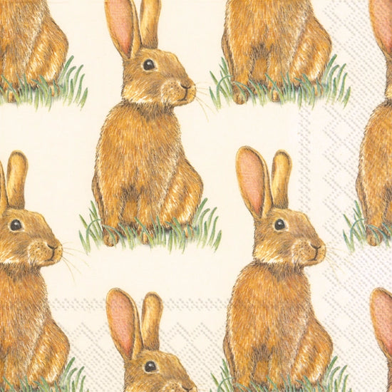 Eddie Bunnies Cocktail Napkins