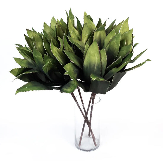 Botanica #294