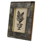 4x6 Acacia, Horn & Brass Frame