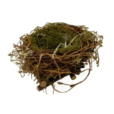 SM Wrens Nest