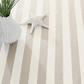 Catamaran Stripe Platinum/Ivory Handwoven Indoor/Outdoor Rug