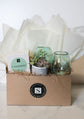 Cashmere+Succulent Gift Box