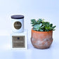 Terra Jar Succulent + Signature Fireside Candle Gift Box