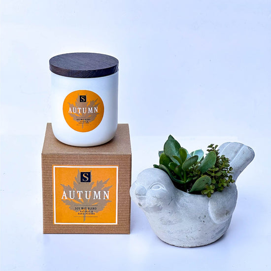 Bird Succulent + Signature Autumn Candle Gift Box