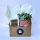 Terra Jar Succulent + Signature Fireside Candle Gift Box