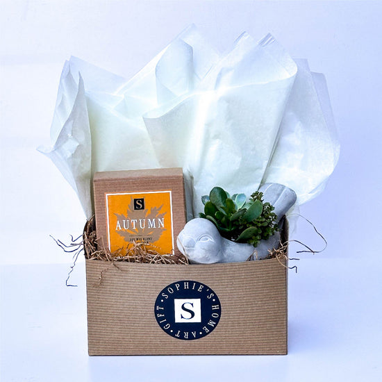 Bird Succulent + Signature Autumn Candle Gift Box
