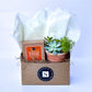 Tuscan Ridge Succulent + Signature Fall Candle Gift Box