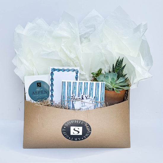 Aspen Blue Stationery and Succulent Gift Box