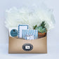 Aspen Blue Stationery and Succulent Gift Box