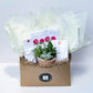 Floral Stationery and Succulent Gift Box