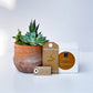 Palo Santo Jewelry Gift Box