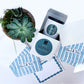 Aspen Blue Stationery and Succulent Gift Box
