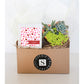 The Heart Valentine Gift Box