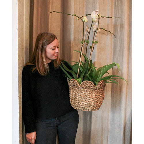 Double Orchid in a Basket