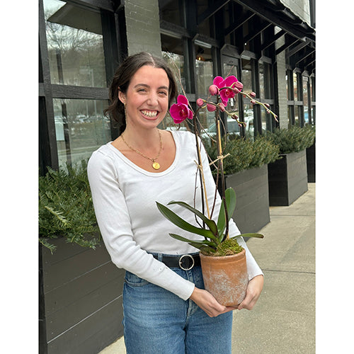 Double Purple Orchid with Valentine's Candle