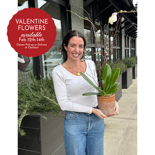 Double White Orchid with Valentine's Candle