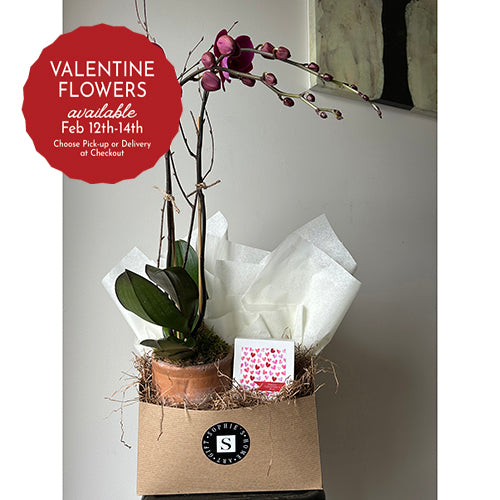 Double Purple Orchid with Valentine's Candle