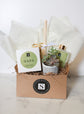 Napa+Succulent Gift Box