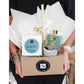Aspen+Succulent Gift Box