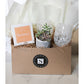 Summer+Succulent Gift Box
