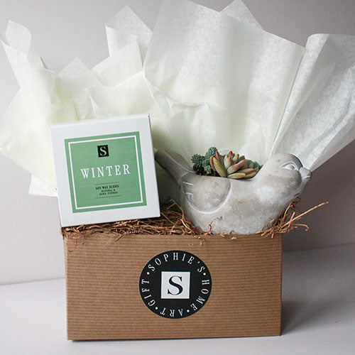 Cement Bird Succulent + Seasonal Candle Gift Box