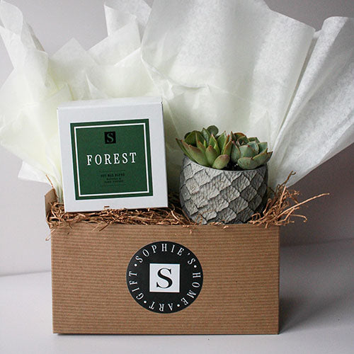 Lattice Succulent + Seasonal Candle Gift Box