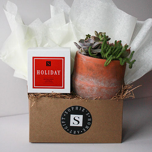 Terra Jar Succulent + Seasonal Candle Gift Box