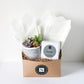 Grey Patterned Succulent + Signature Candle Gift Box