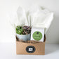 Ripple Succulent + Signature Candle Gift Box